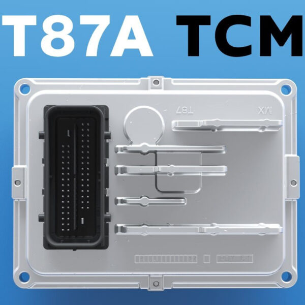 T87A TCM